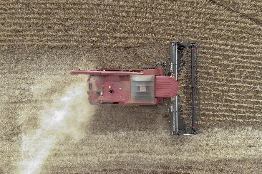 Safra paranaense 2020/2021 concentra 5,6 bilhões de hectares de área plantada