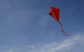 Pescaria de estrelas