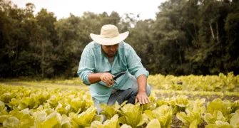 Agricultura familiar de sucesso, difícil, mas possível