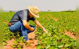 A vanguarda da tecnologia de alimentos no desenvolvimento de Londrina