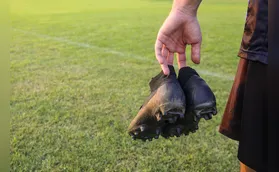 Histórias da Várzea: o prazer do futebol amador