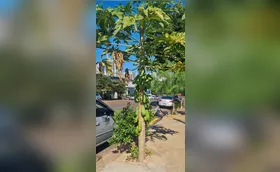 #A CIDADE FALA - Frutas na calçada