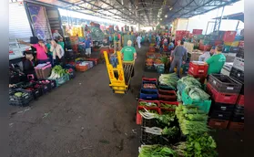 Ceasa vai licitar áreas em Londrina e em mais três municípios