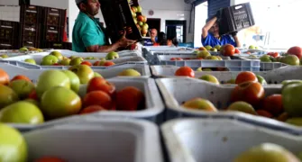 Produção e demanda de alimentos
