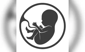 Idades da vida: uma jornada no tempo
