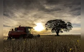 Bioeconomia pode aumentar renda do produtor rural